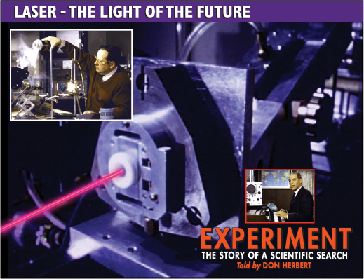 Attack Patterns of Sharks