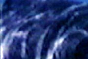 Attack Patterns of Sharks