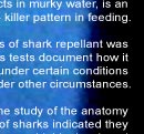 Attack Patterns of Sharks