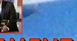 Attack Patterns of Sharks