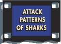 Attack Patterns of Sharks