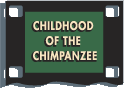 Childhood of The Chimpanzee