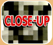 Close-Up TV Screen
