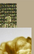 Mr. Wizard Close Ups